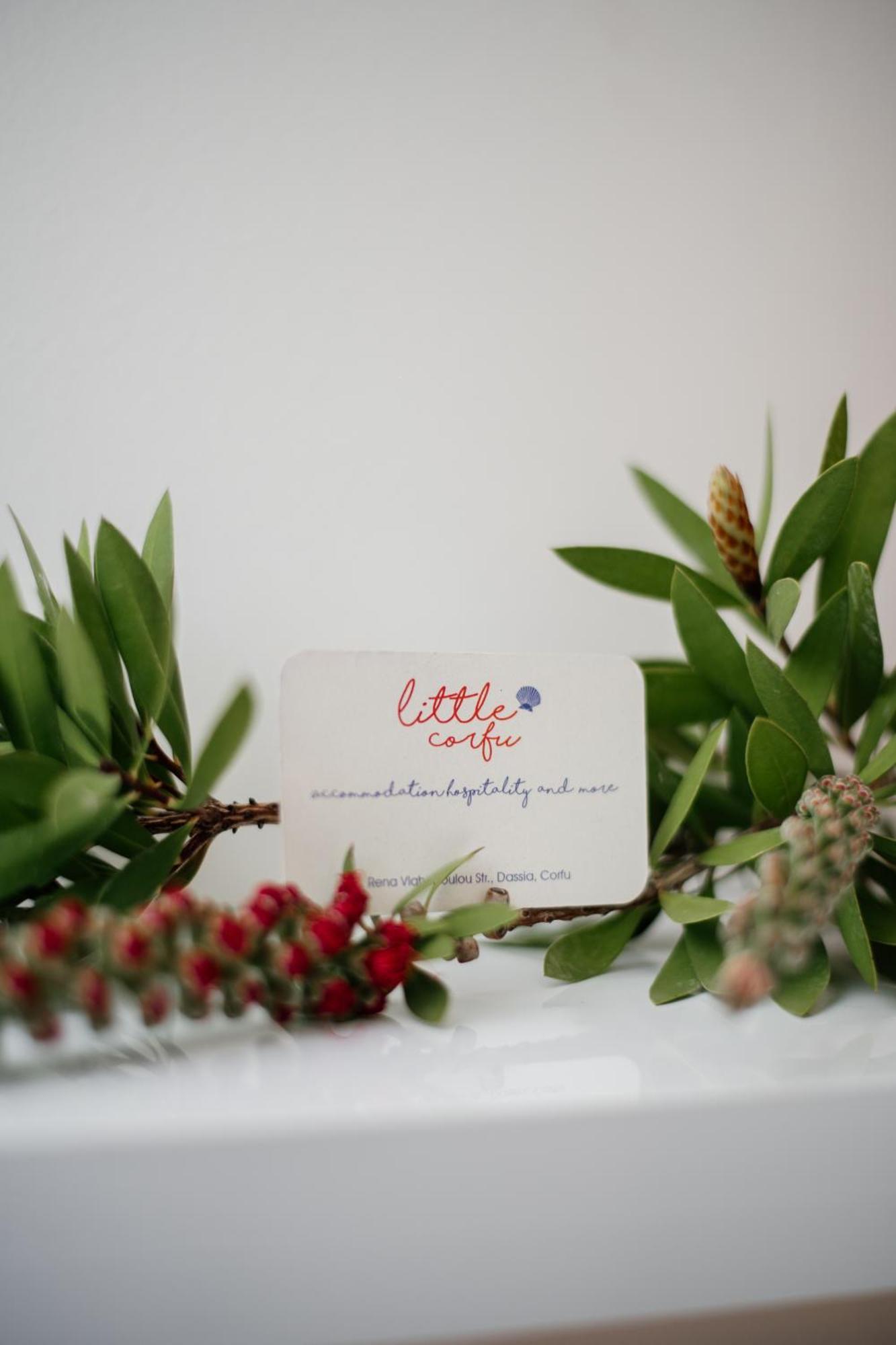 Little Corfu Aparthotel Dassia  Bagian luar foto